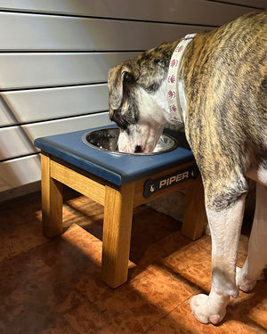 Raised Dog Bowl Stand - 1 Bowl 9" High - Steel Blue Top | White Oak Bottom