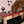 Raised Dog Bowl Stand - 2 Bowl 7