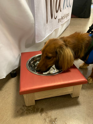 Raised Dog or Cat Bowl Stand - 1 Bowl 4" High - Red Top | White Oak Bottom
