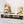 Raised Dog Bowl Stand - 
3 Bowl 5” High - Ivory Top | Black Walnut Bottom
